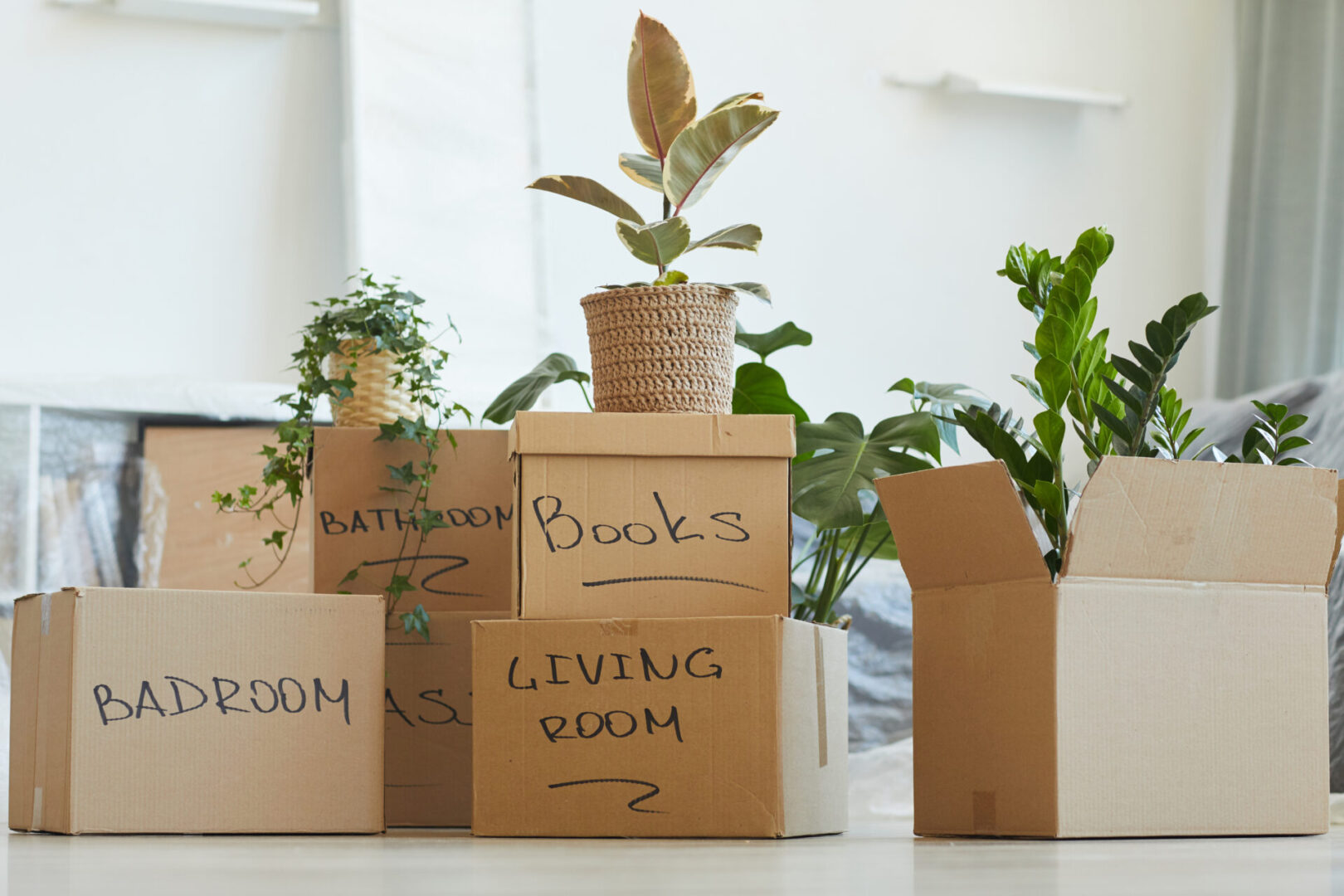 Moving boxes with plants and labels.